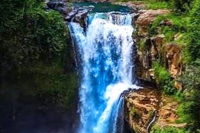 Ubud Tour with all includes - Pickup, private driver-guide, and why it changes everything