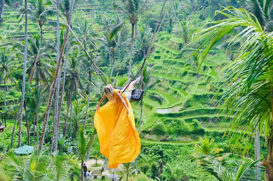 Ubud Tour with Optional English, Spanish and Italian Guide - First Pickup to Last Coffee: How This Ubud Day Fits Together
