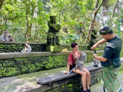 Ubud Tour with Optional English, Spanish and Italian Guide - Sacred Monkey Forest: Big Encounters Without the Chaos (If You Handle Them Right)