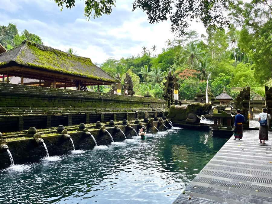 Ubud Tour with Optional English, Spanish and Italian Guide - Ulu Petanu Waterfall: Steps, Shade, and a Swim That Feels Like a Reward