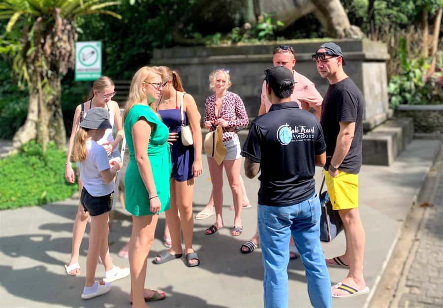 Ubud Tour with Optional English, Spanish and Italian Guide - Rice Terrace Swing, Zipline, and Flying Fox: Fun Options Near the Scenery