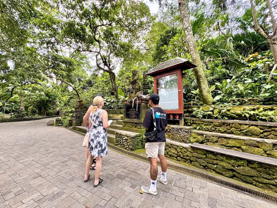 Ubud Tour with Optional English, Spanish and Italian Guide - Coffee and Tea Plantation: From Bean to Cup (And Yes, Luwak)