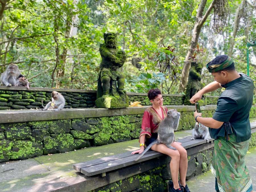 Ubud Tour with Optional English, Spanish and Italian Guide - Sacred Monkey Forest: Big Encounters Without the Chaos (If You Handle Them Right)