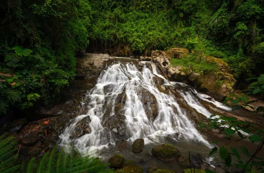 Ubud: Trekking Through Rivers & Forests to Three Waterfalls - Canyon-wall jump and natural water slide: choose your level