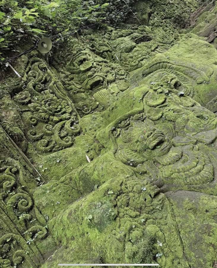 Ubud: Trekking Through Rivers & Forests to Three Waterfalls - Pickup, drop-off, and how the logistics actually work