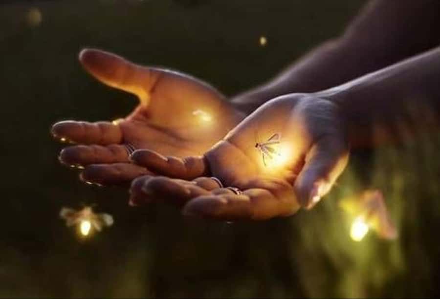 Ubud: Village Firefly Night Tour with Dinner - Traditional Balinese house visit: understanding space and family life