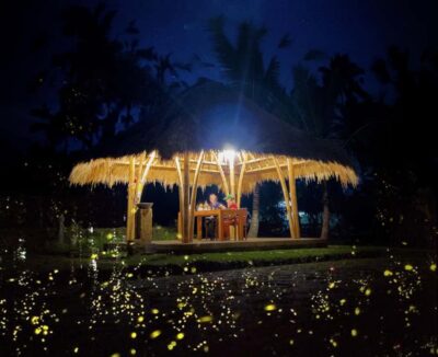 Ubud: Village Firefly Night Tour with Dinner - Organic farm + cooking school: the dinner you actually make