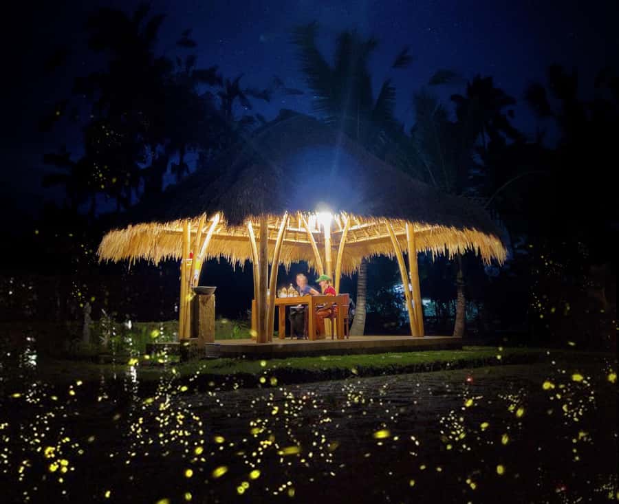 Ubud: Village Firefly Night Tour with Dinner - Organic farm + cooking school: the dinner you actually make
