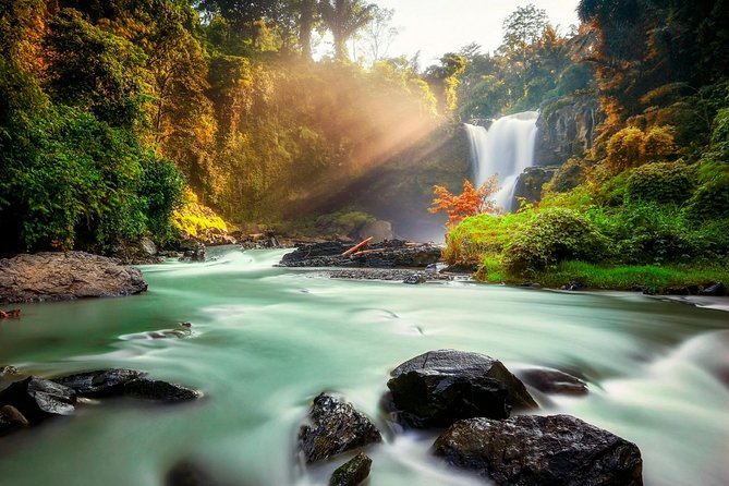 Ubud Village Sightseeing, Famous Paddy Field And Ubud Waterfall - Entering Ubud Traditional Art Market and Palace grounds