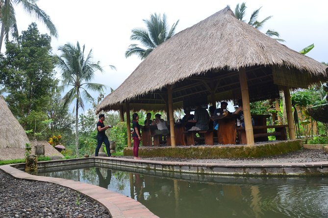 Ubud Village Sightseeing, Famous Paddy Field And Ubud Waterfall - Tegenungan Waterfall: swim time, or just cool air