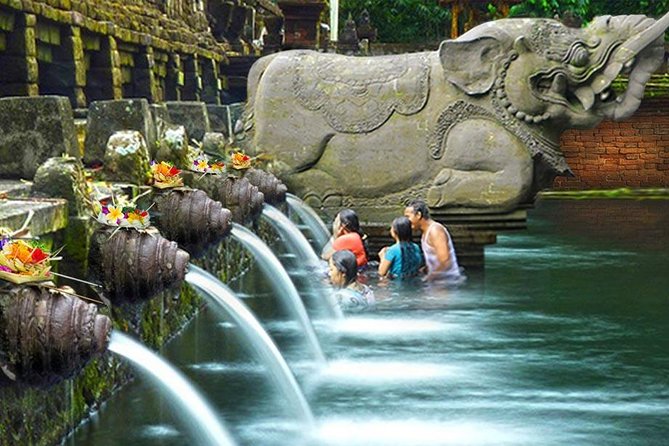 Ubud Village Sightseeing, Famous Paddy Field And Ubud Waterfall - Who this tour suits best (and who should think twice)