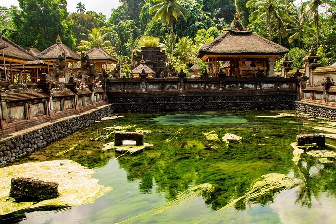 Ubud Village Sightseeing, Famous Paddy Field And Ubud Waterfall - Pulina Agro Tourism: coffee making with a view