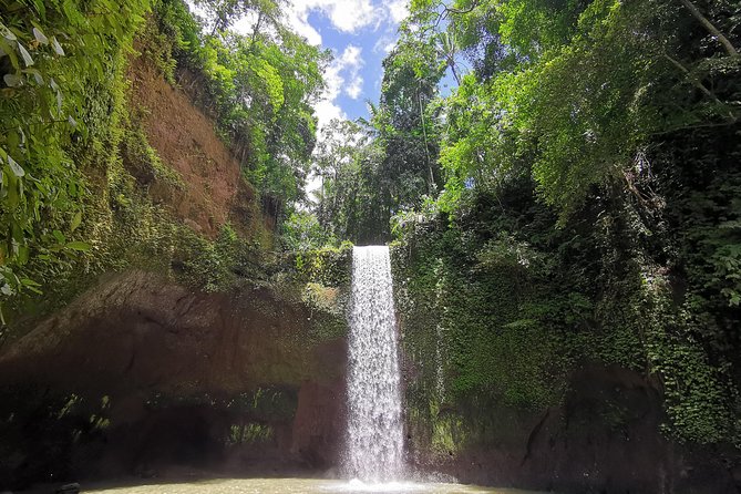 Ubud Village, Tegalalang Rice Terrace Swing, Tirta Empul Temple and Waterfafall - Why this Ubud day feels different than a typical “drive-by”