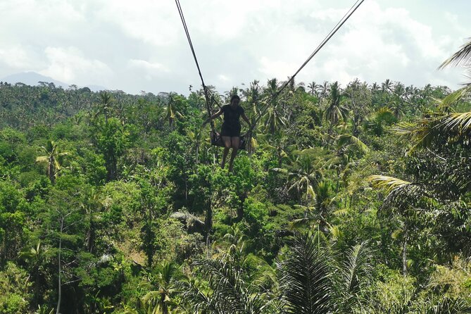 Ubud Village, Tegalalang Rice Terrace Swing, Tirta Empul Temple and Waterfafall - Campuhan Ridge Walk: start with Ubud’s river-junction meaning