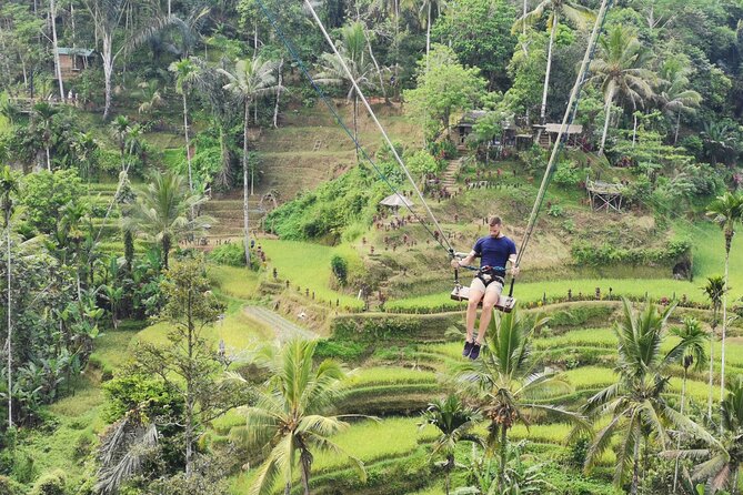 Ubud Village, Tegalalang Rice Terrace Swing, Tirta Empul Temple and Waterfafall - Tirta Empul Temple: holy spring water and purification pools