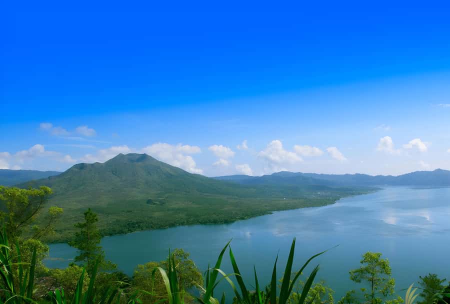 Ubud Village, Waterfall and Kintamani Volcano Private Tour - Tegenungan Waterfall: Clear Water, Easy Photos, and a Real Change of Pace