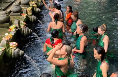 Ubud Village, Waterfall and Kintamani Volcano Private Tour - Pickup and Getting Around: Comfort Matters in Bali Heat