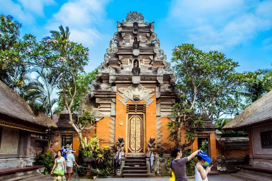 Ubud Village, Waterfall and Kintamani Volcano Private Tour - Ubud Monkey Forest: Fun, Fast, and a Little Chaotic (In a Good Way)