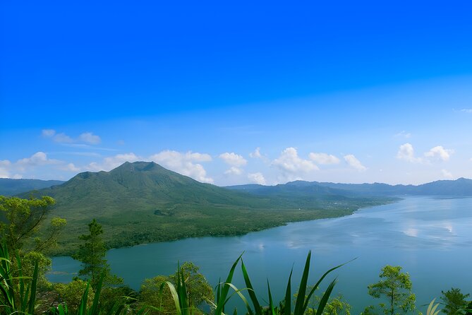 Ubud Village, Waterfall and Kintamani Volcano Tour - Ubud Palace and Art Market: The Walkable Finish
