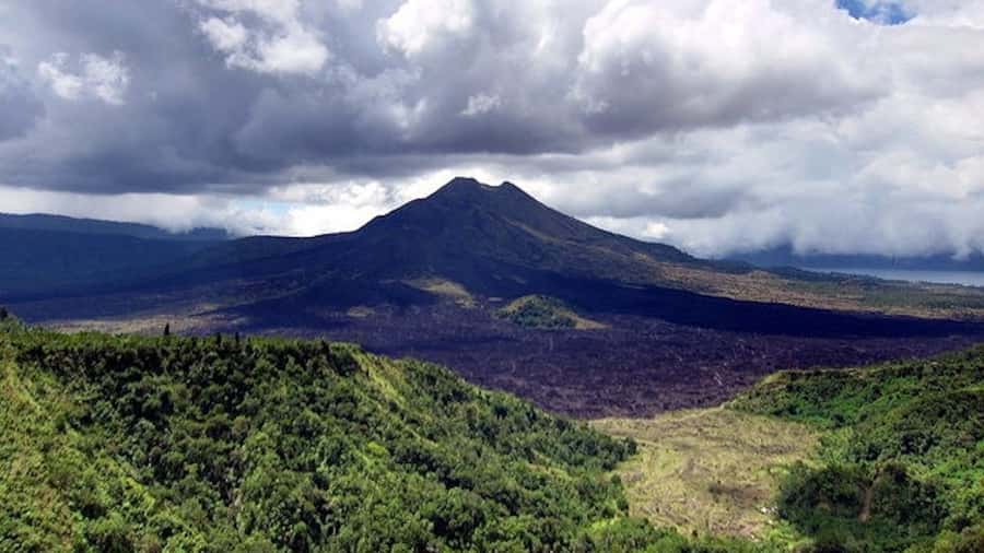 Ubud & Volcano Hot Springs Tours - Price and logistics: is $50 worth it?