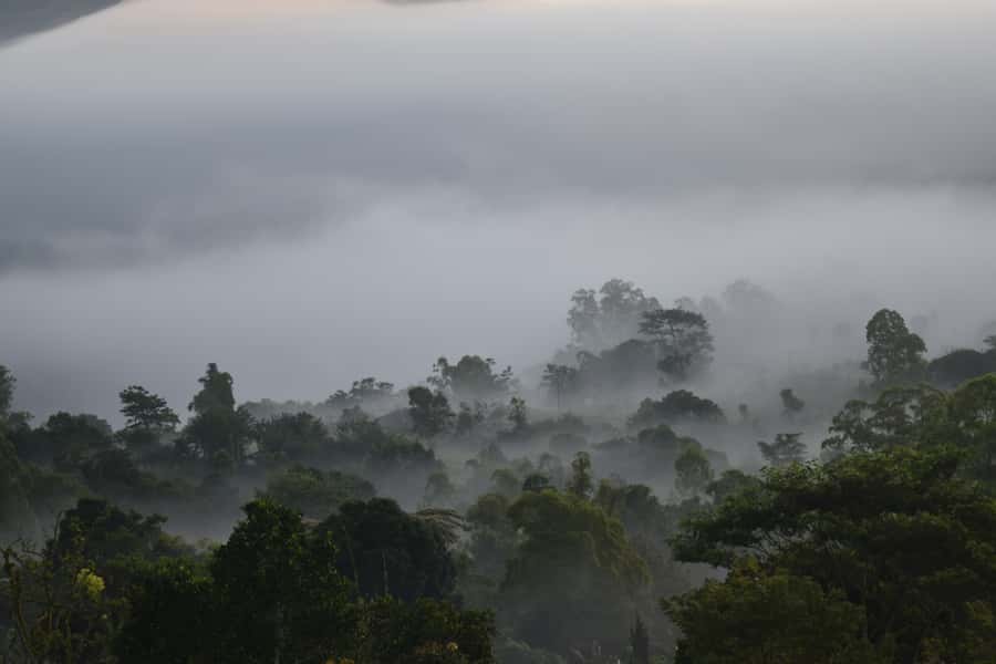 Ubud & Volcano Hot Springs Tours - Ubud Palace and market again: how the day lands