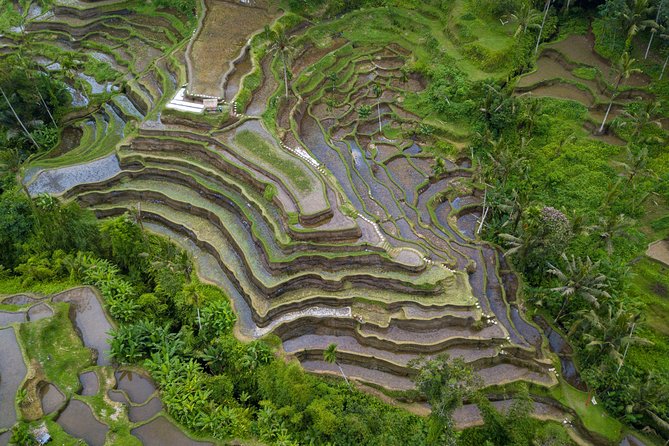 Ubud Volcano Lake and Natural Hot Spring Tour - Tegenungan Waterfall: A Big Finale of Fresh Water Flow