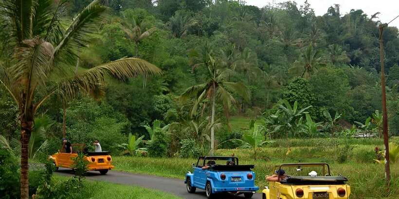 Ubud VW Safari Bali Tour - Key Things That Make This Ubud VW Safari Day Work