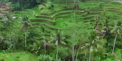 Ubud VW Safari Bali Tour - Door-to-Door Pickup in Bali: Where the Day Starts