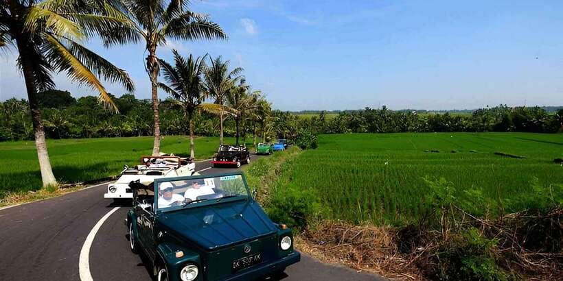 Ubud VW Safari Bali Tour - Value for $70: What You’re Really Getting