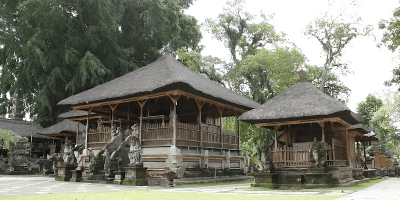 Ubud VW Safari Bali Tour - Who This Tour Fits Best (And Who Should Skip It)
