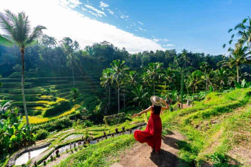 Ubud: Water Temple, Rice Terrace, and Waterfalls Tour - Key things to know before you go
