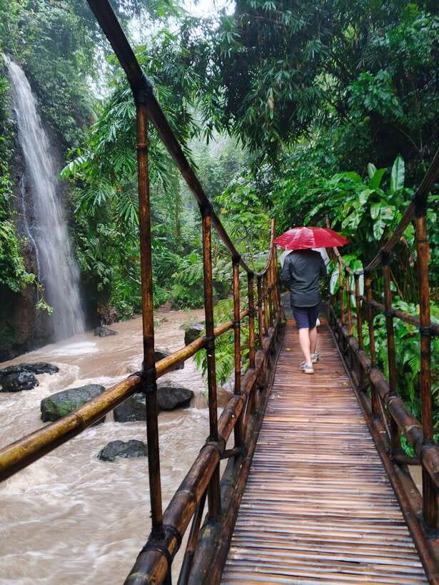 Ubud: Water Temple, Rice Terrace, and Waterfalls Tour - Price and value: what $30 covers, and what you’ll likely add
