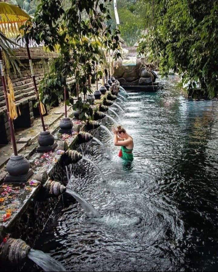 Ubud: Water Temple, Rice Terrace, Waterfall, Private Tour - Food breaks: what happens if you get hungry