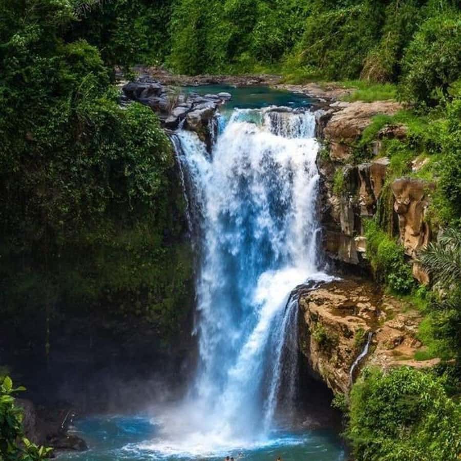 Ubud: Water Temple, Rice Terrace, Waterfall, Private Tour - Price and value: what $26 per person actually buys you