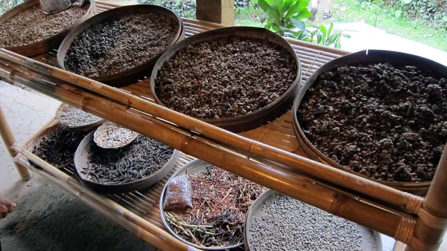 UBUD : Water Temples, Waterfalls, and Rice Terraces Tour - Ulu Petanu Waterfall: where the air feels cooler