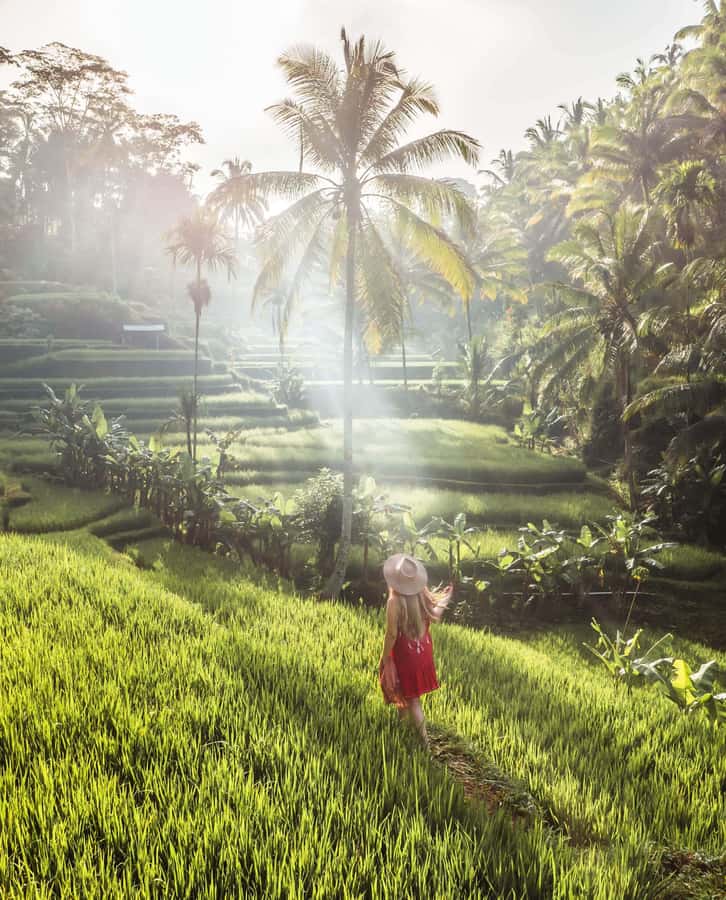 UBUD : Water Temples, Waterfalls, and Rice Terraces Tour - Taman Sari Waterfall and the natural pool stop
