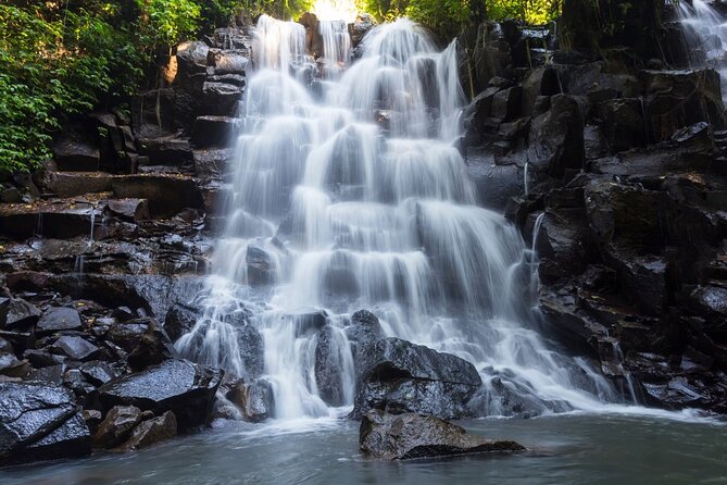 Ubud Waterfall Experience - Stop 3: Tegalalang Rice Terrace and a timing check for the jungle swing