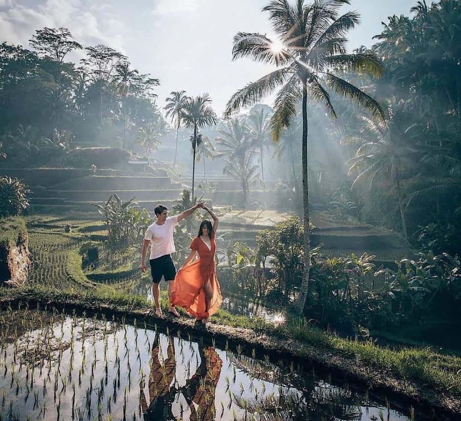Ubud: Waterfall, Holy Water Temple,Swing&coffee plantation - A 9-hour Ubud mix that actually flows