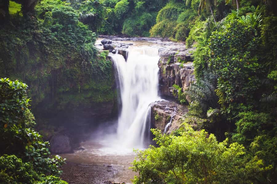 Ubud: Waterfall, Rice Terrace & Temple Private Day Tour - Two waterfalls, one day: the real “value” of this Ubud plan