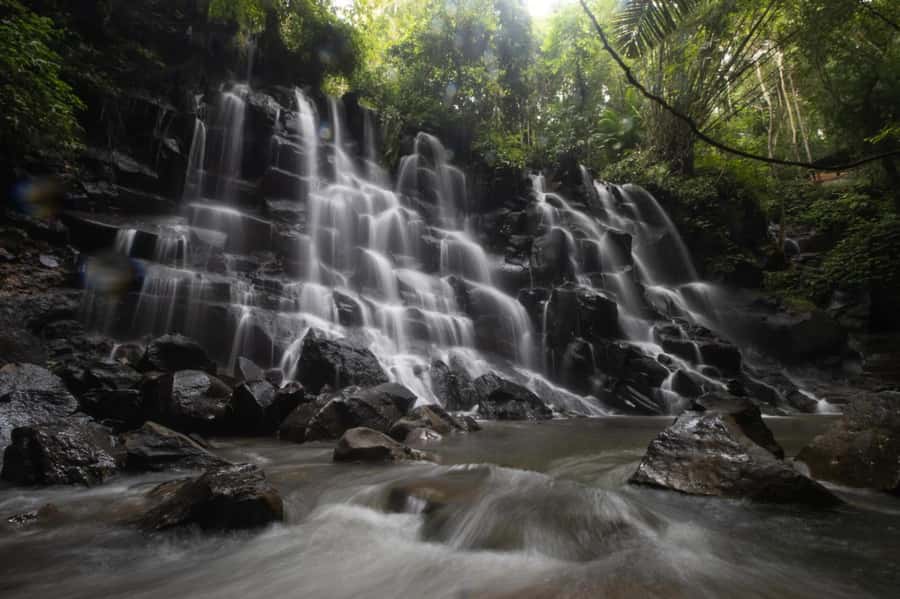 Ubud: Waterfall, Rice Terrace & Temple Private Day Tour - Coffee plantation in Ubud: tea, tasting, and a chance to shop smart