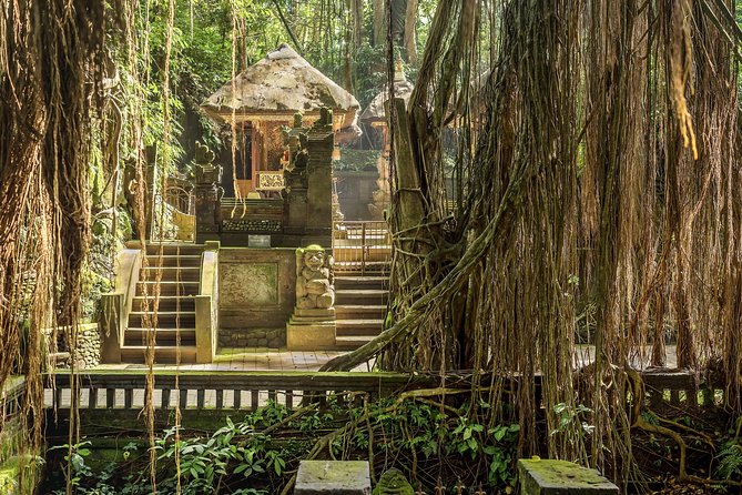 Ubud: Waterfall, Rice Terraces, and Monkey Forest Private Tour - Lunch and Timing: How the Day Stays Realistic