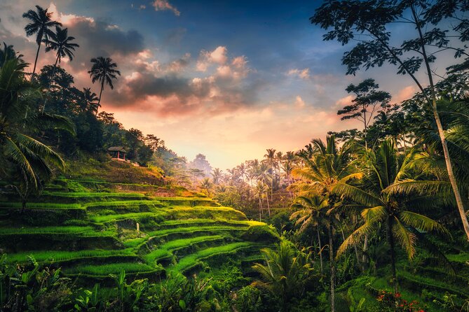 Ubud waterfall, rice terraces, and swing explore - Ubud waterfall, rice terraces, and swing: the day in plain terms