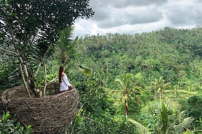 Ubud waterfall, rice terraces, and swing explore - Price and value: what you’re really getting for $41