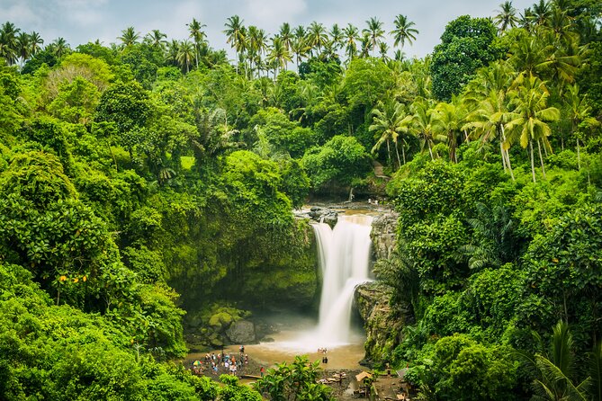 Ubud waterfall, rice terraces, and swing explore - The guide experience: why Dewa and Kadek-style service changes the day