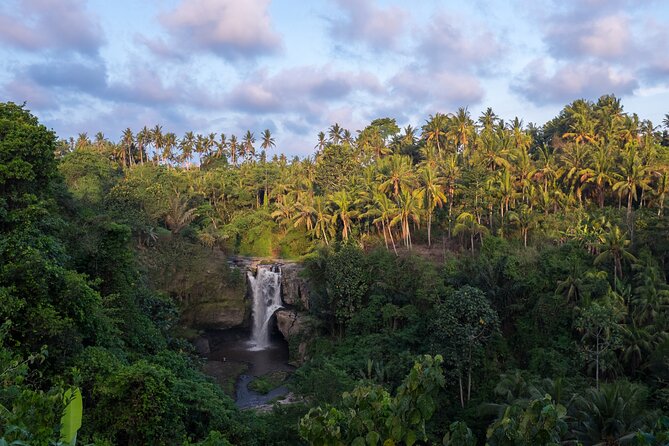 Ubud waterfall, rice terraces, and swing explore - Who should book this Ubud combo tour?