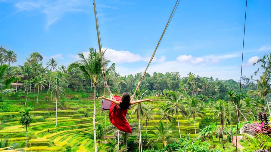 Ubud: Waterfall, Rice Terraces & Monkey Forest Private Tour - Tegenungan Waterfall: A Real Close-Up, Plus a Break from the Road