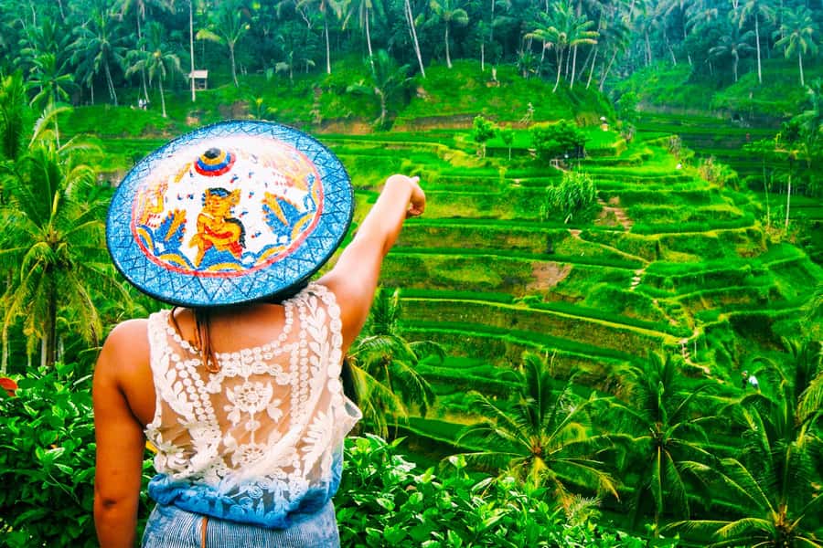 Ubud: Waterfall, Rice Terraces & Monkey Forest Tour - Ubud in one day: what makes this route work