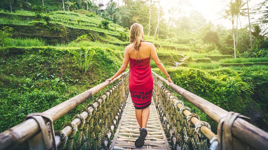Ubud: Waterfall, Rice Terraces & Monkey Forest Tour - Getting to the start: pickup vs the small-group meeting point