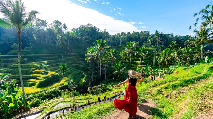 Ubud: Waterfall, Rice Terraces & Monkey Forest Tour - Ubud Traditional Market and the King Palace: daily life plus performance-ready architecture