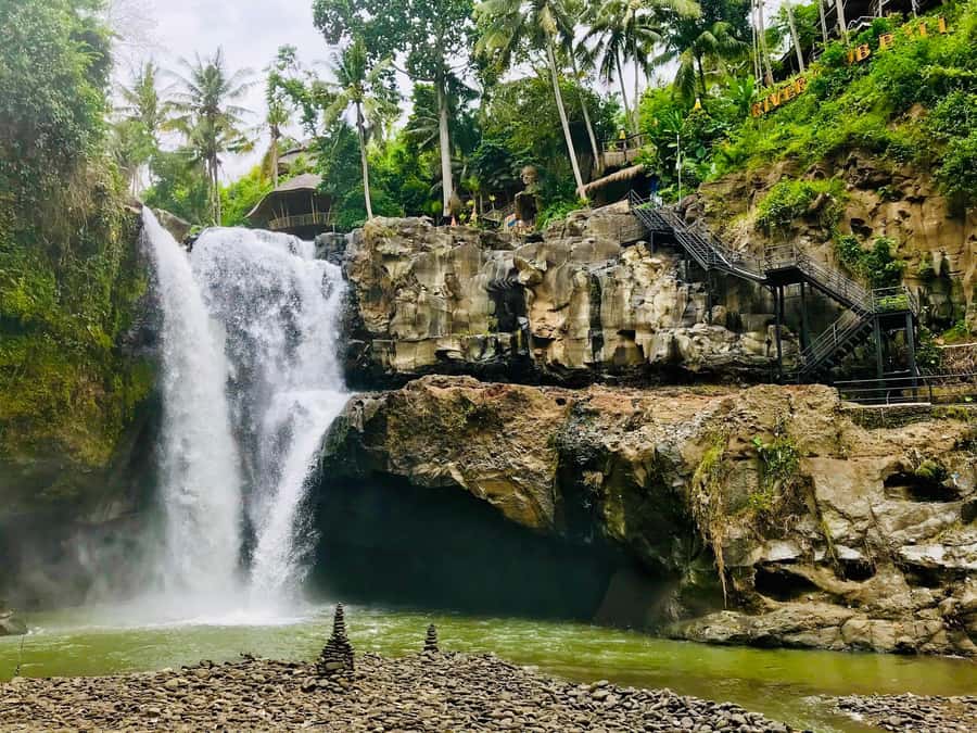 Ubud: Waterfall, Ricefield, Purification Ritual Private Tour - Key highlights you’ll actually care about